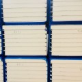 PDD100 800IMG_3548.jpg