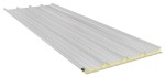 Sandwichplatten  Dachplatten 100mm